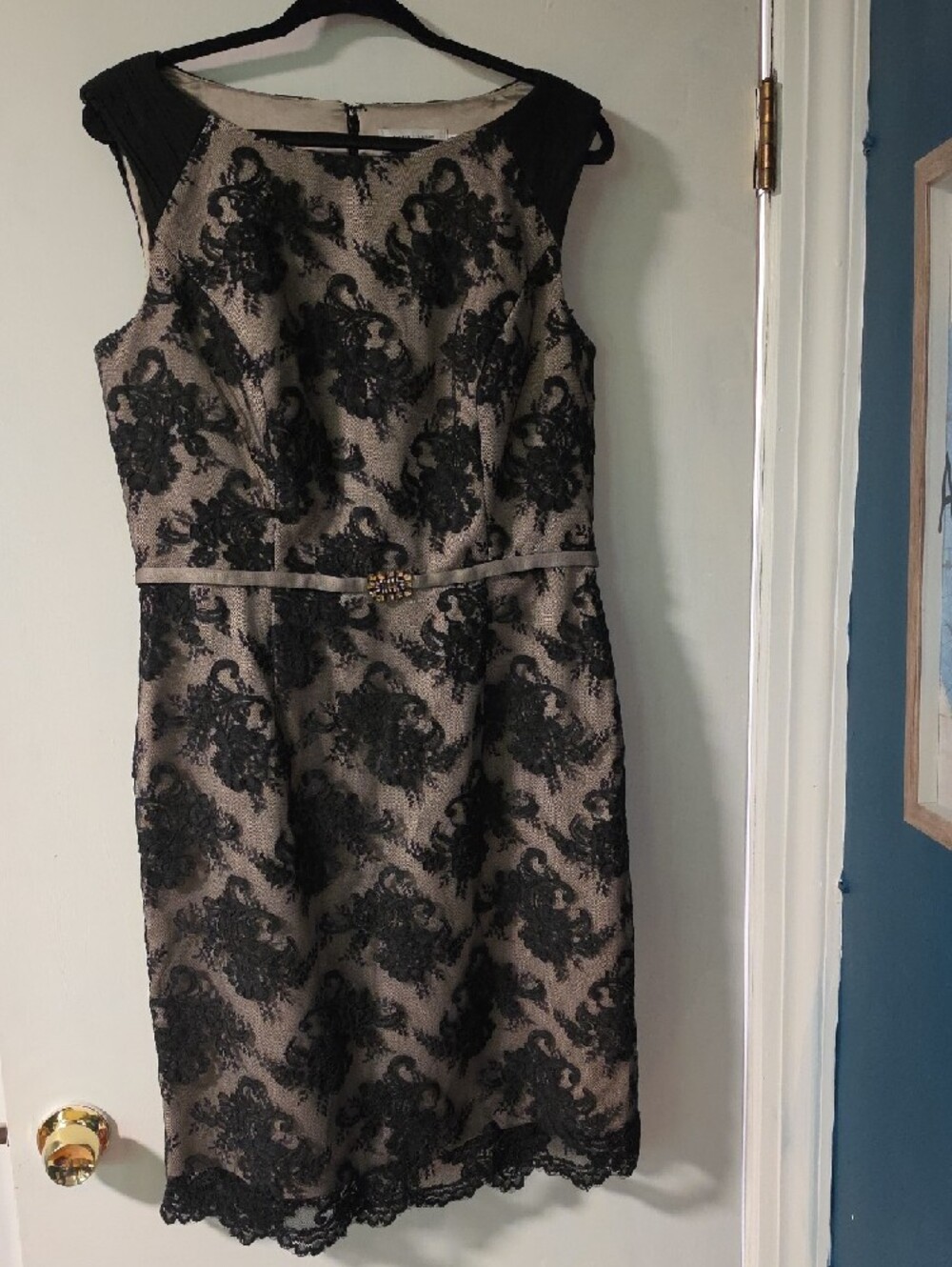 Teri Jon Black Lace Dress with Cream Satin Lining